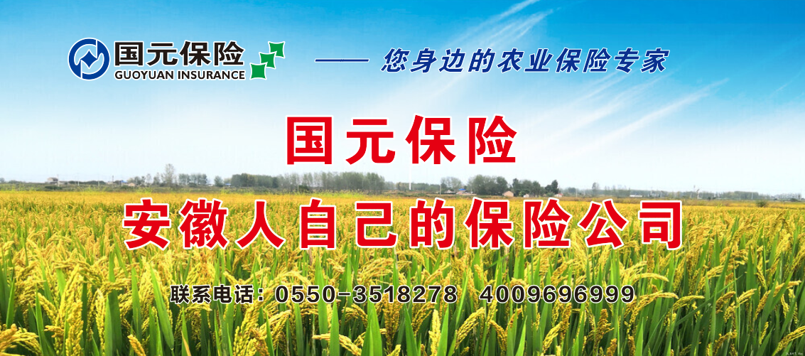新财富杂志